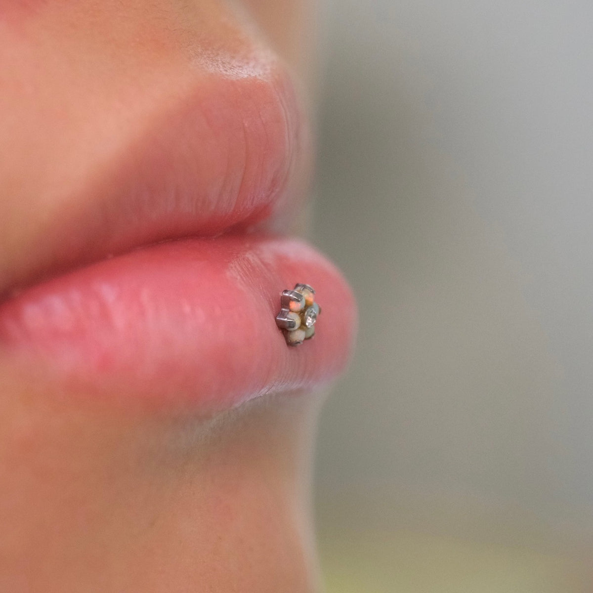 PiercingLab gallery image