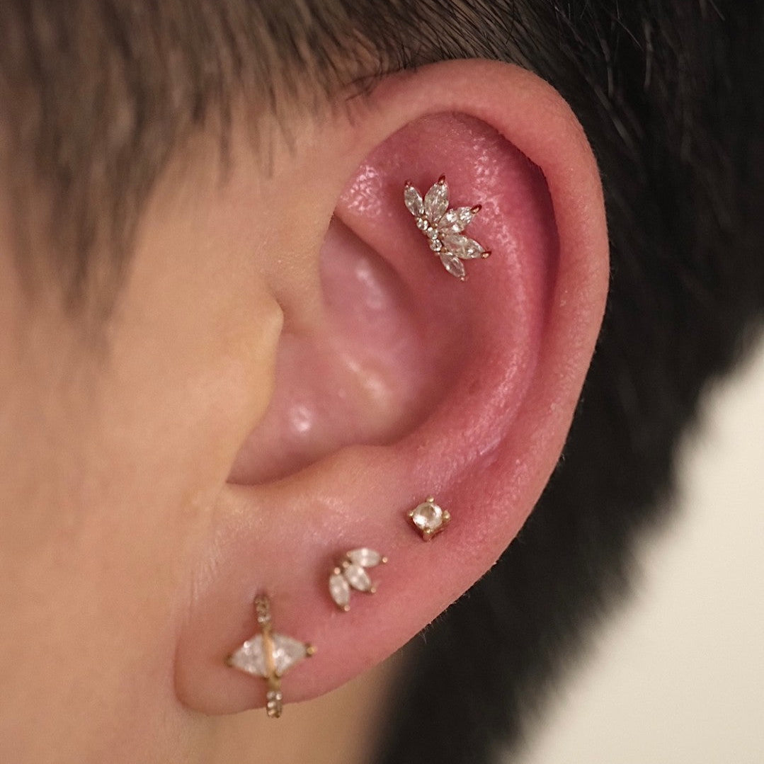 PiercingLab gallery image