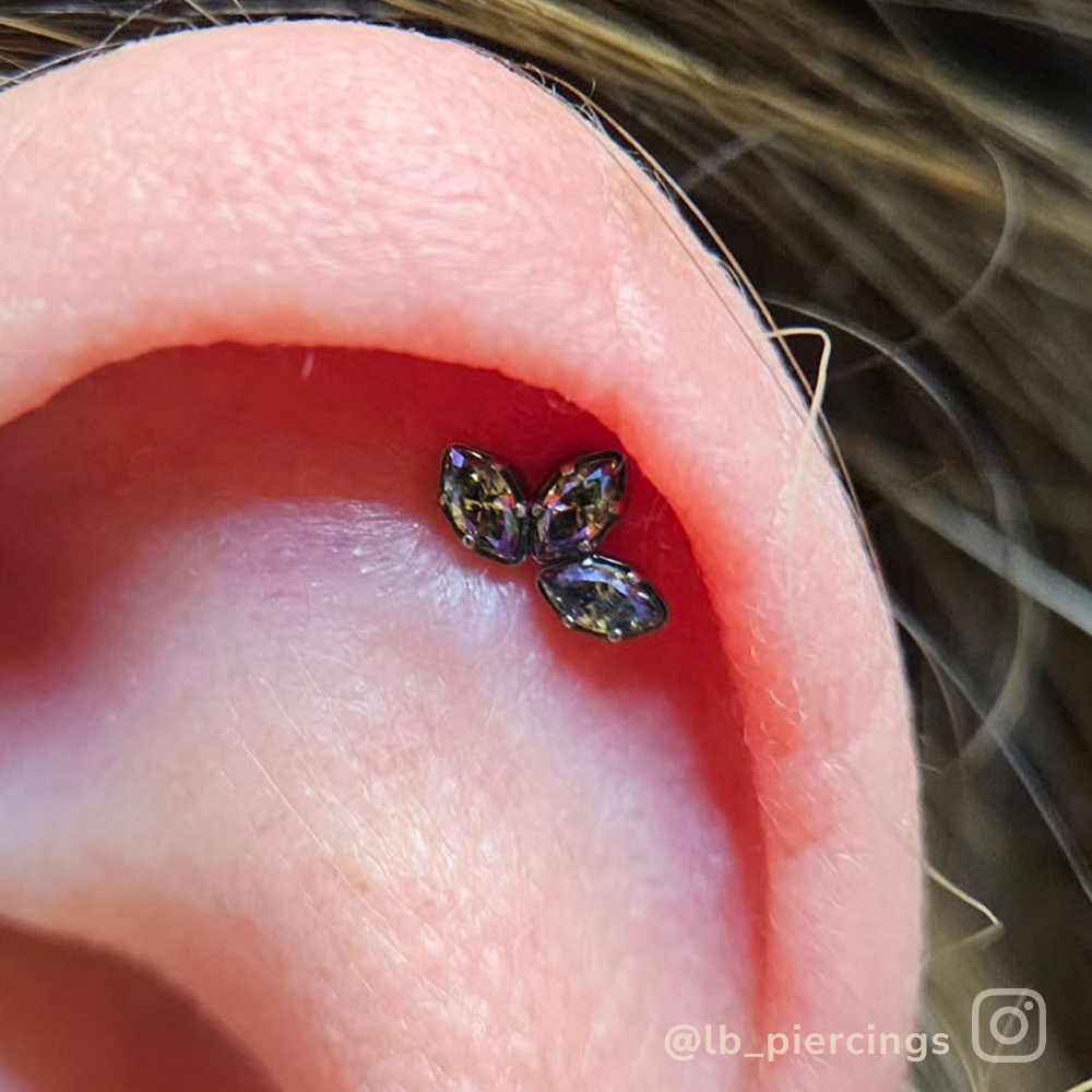 Titanium Marquise Cut Gem Fan Clusters