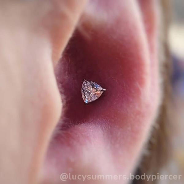 Titanium Trillion Cut Prong Set Gem