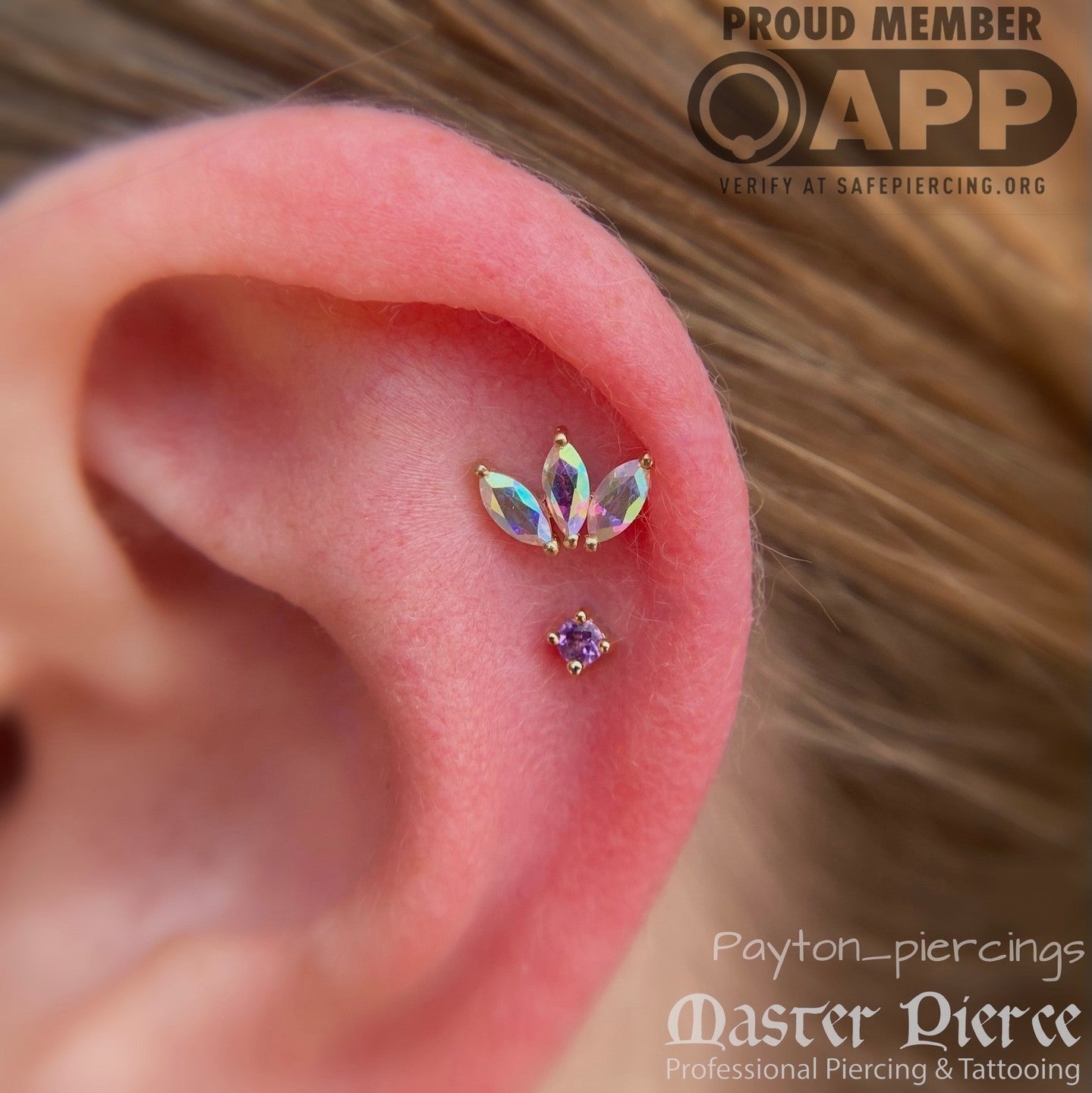 Amethyst Prong - Threadless End